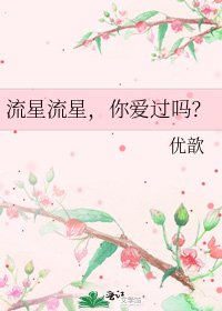 《流星流星,你爱过吗?》