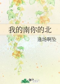 《我的南你的北》