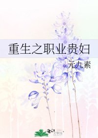 《重生之职业贵妇》
