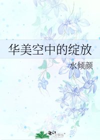 华美空中的绽放