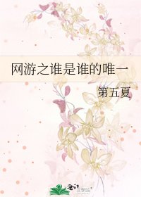 《网游之谁是谁的唯一》