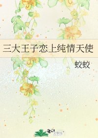 《三大王子恋上纯情天使》