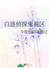 《白涟侦探鬼视区》