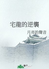 《宅龍的逆襲》