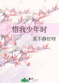 《惜我少年时》