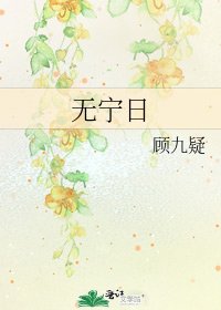 《无宁日》