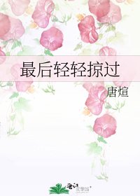 《最后轻轻掠过》