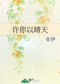 《许你以晴天》