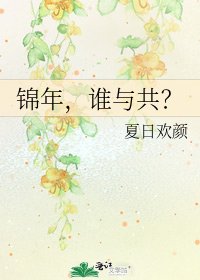 《锦年,谁与共?》