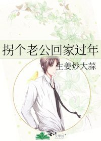 《拐个老公回家过年》
