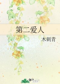 《第二爱人》