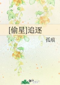 [偷星]追逐