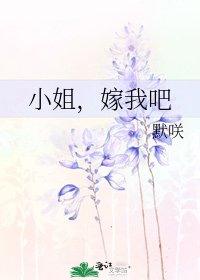 《小姐,嫁我吧》