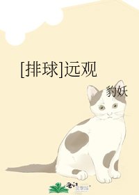 [排球]远观