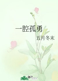 《一腔孤勇》