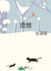 遗憾