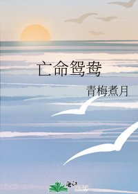 《亡命鸳鸯》