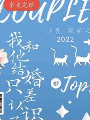 《我和他结婚只差认识了》