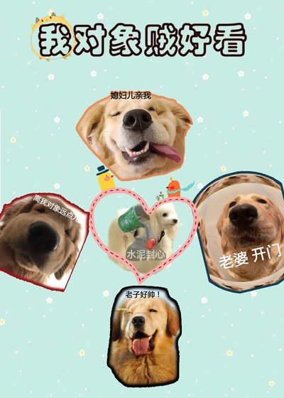 《我对象贼好看》