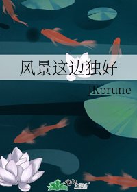 《风景这边独好》