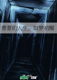 《曹薏的人生,如梦初醒》