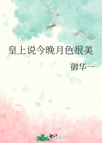 《皇上说今晚月色很美》