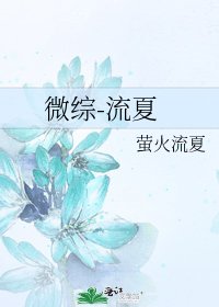 《微综-流夏》