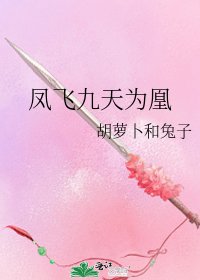 《凤飞九天为凰》
