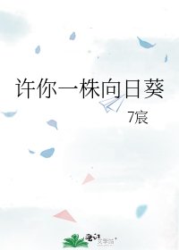 《许你一株向日葵》