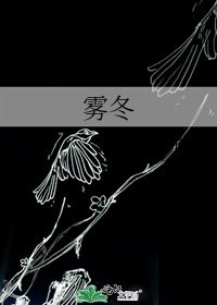《雾冬》