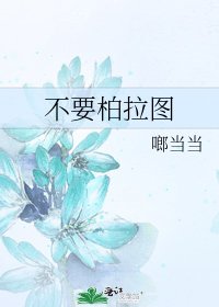 《不要柏拉图》