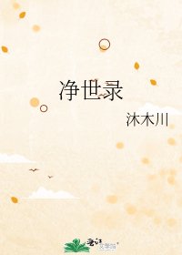 《净世录》