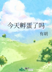 《今天孵蛋了吗》