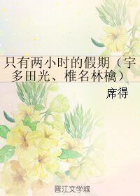 《(GL/真人同人)只有两小时的假期(宇多田光、椎名林檎)》