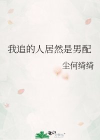 《我追的人居然是男配》