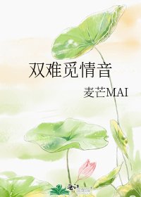 《双难觅情音》