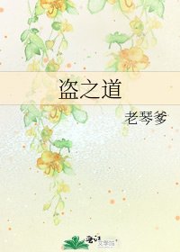 《盗之道》