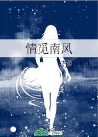 《情觅南风》