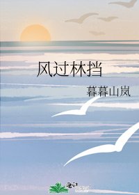 《风过林挡》
