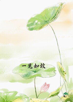 《一见如故》