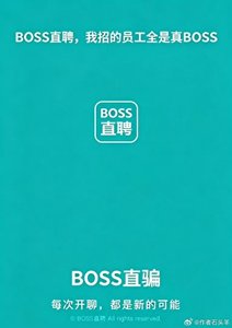 《Boss直聘,我招的员工全是真boss!》