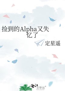 《捡到的Alpha又失忆了》