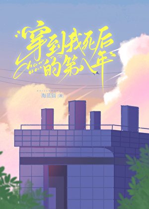 《夫人死后的第八年》