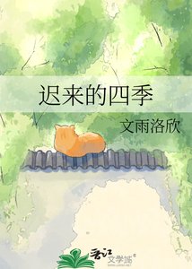 《迟来的四季》
