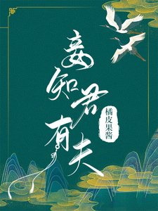 《妾知君有夫》