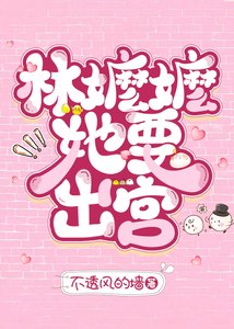 《林嬷嬷她要出宫》