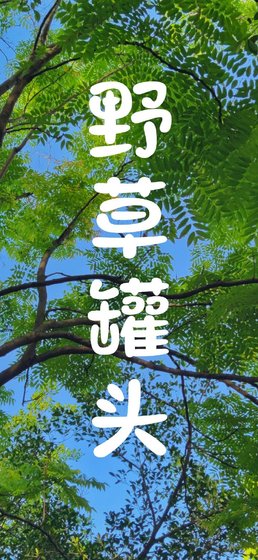《野草罐头》