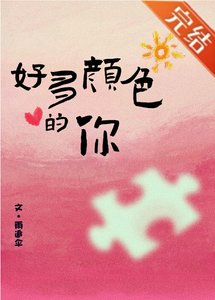《一幅拼图画》