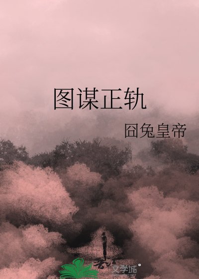 图谋正轨