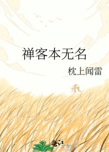 《禅客本无名》